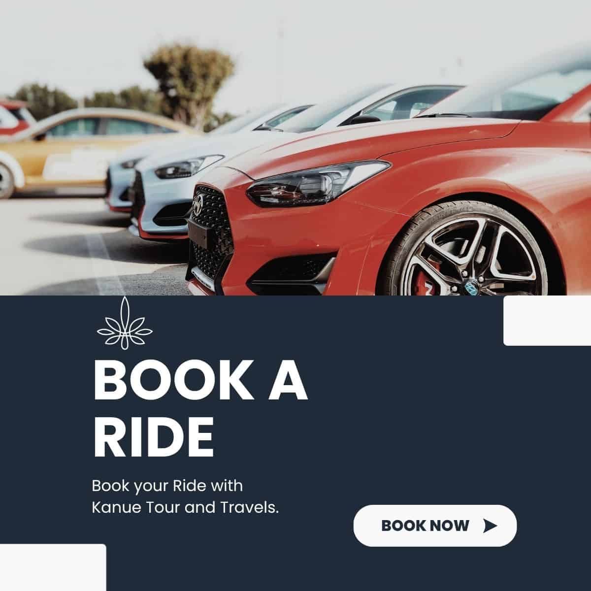 Car Rentals
