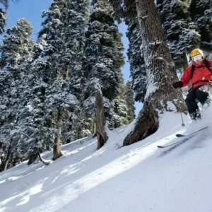 Kashmir Family Tour- Srinagar to Gulmarg, Sonamarg, Pahalgam and Local- 7 Days & 6 Nights Tour