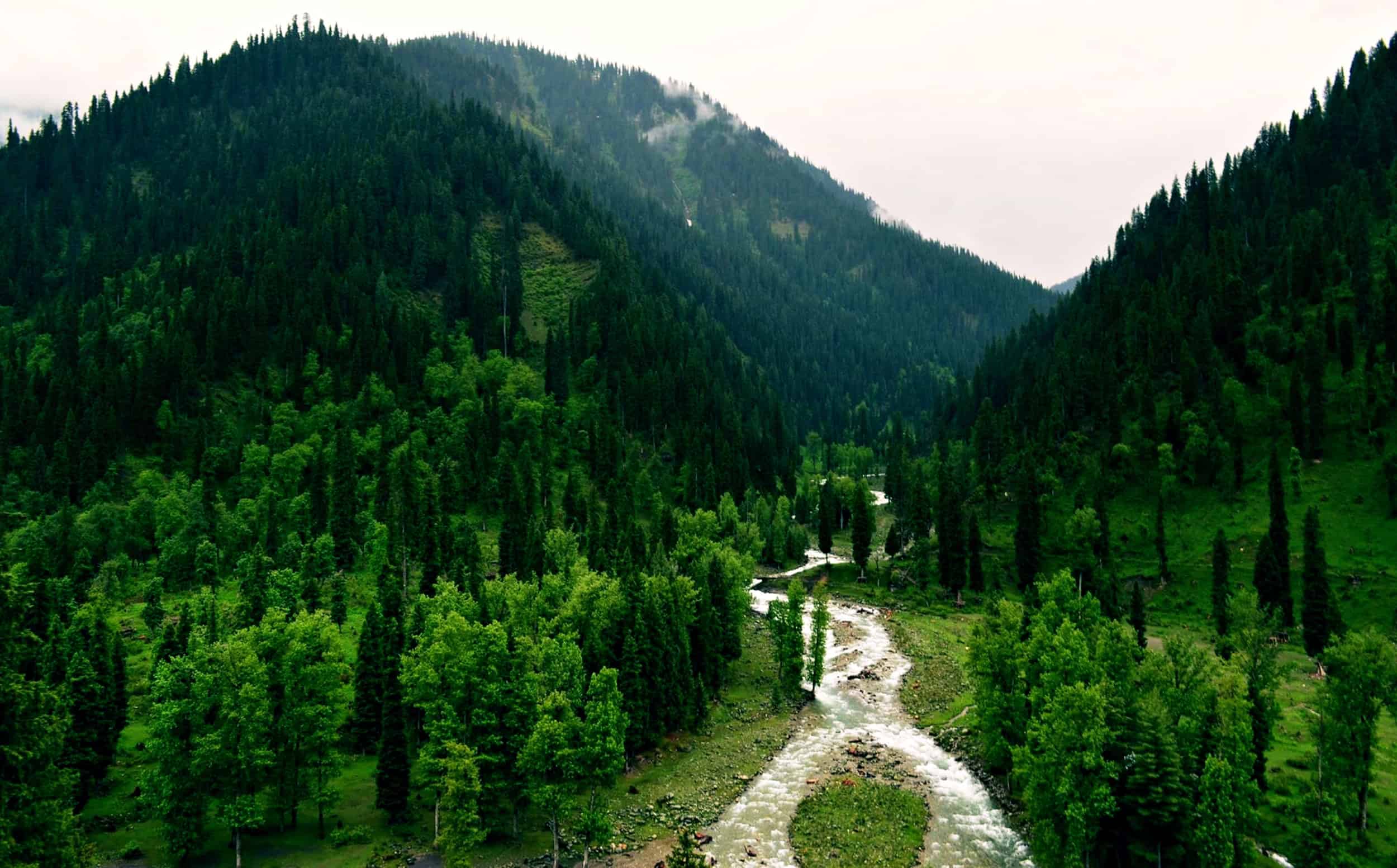 Kashmir honeymoon package--6Nights/07Days-srinagar-sonamarg-gulmarg-pahalgam